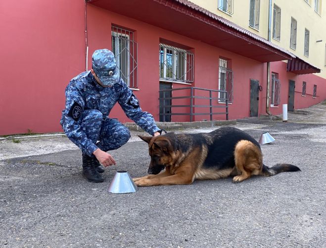В Магадане проходят учебно-методический сбор кинологических подразделений Росгвардии 