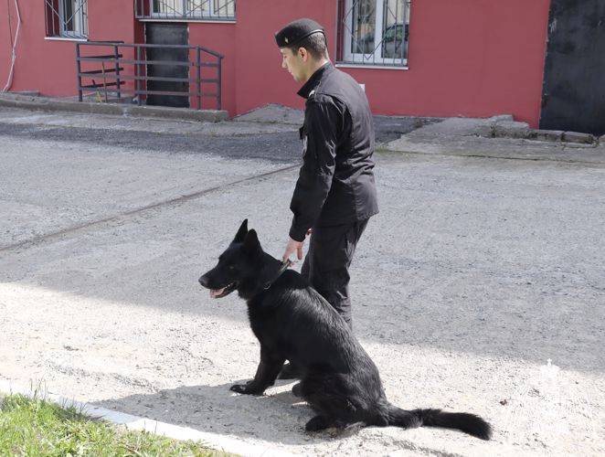 В день кинолога сотрудники магаданского ОМОН рассказали о подготовке служебных собак Росгвардии