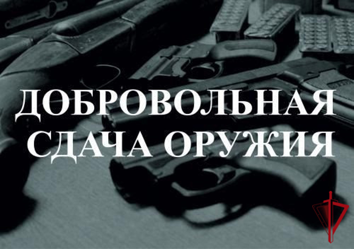 Сотрудники Росгвардии напоминают о порядке и условиях добровольной сдачи оружия на возмездной основе