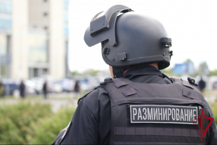 В магаданском аэропорту росгвардейцы обследовали предмет, похожий на гранату
