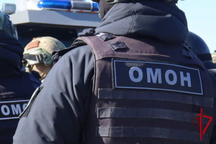 При содействии Росгвардии в Магадане задержаны граждане за стрельбу в населенном пункте и провокационные видео  