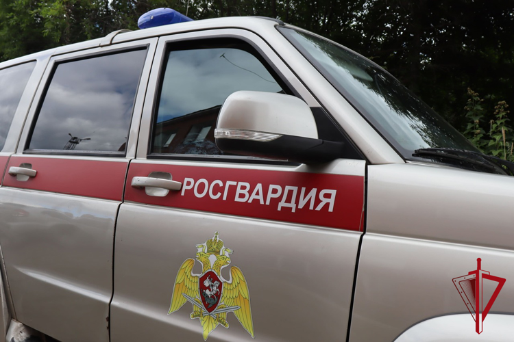 Росгвардейцы оперативно разыскали автомобиль забывчивого колымчанина