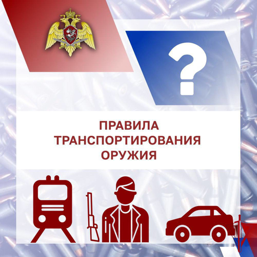 Оружейная азбука: правила транспортирования оружия