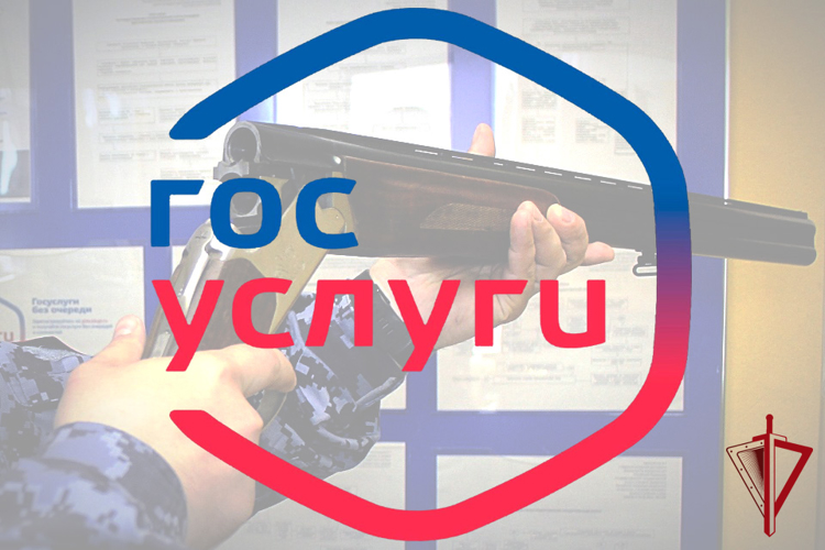 Колымчане предпочитают электронный способ подачи заявлений на получение госуслуг в сфере оборота оружия 