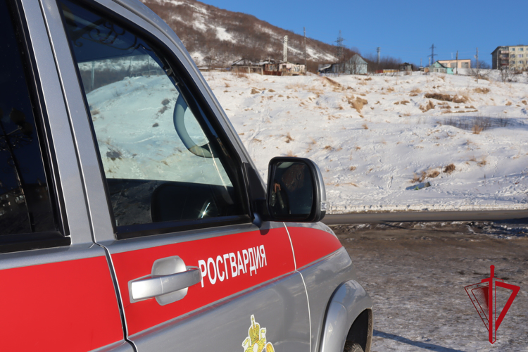 В Ягодном сотрудники МВД и Росгвардии задержали подозреваемого в угрозе убийством 