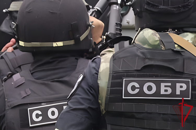 При содействии СОБР Росгвардии на Колыме задержан подозреваемый в публичной пропаганде терроризма