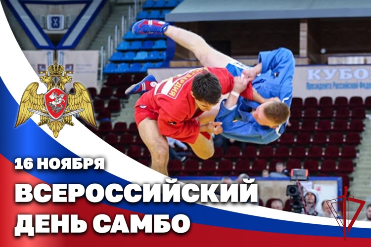 16 ноября — Всероссийский день самбо