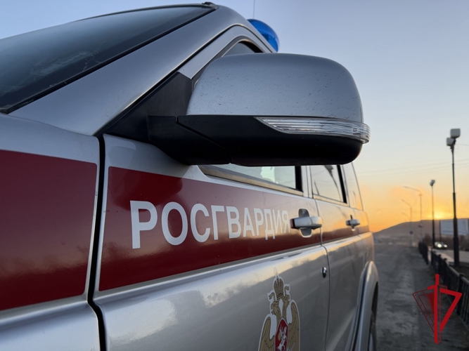 Происшествие в магаданском поселке потребовало вмешательства Росгвардии   