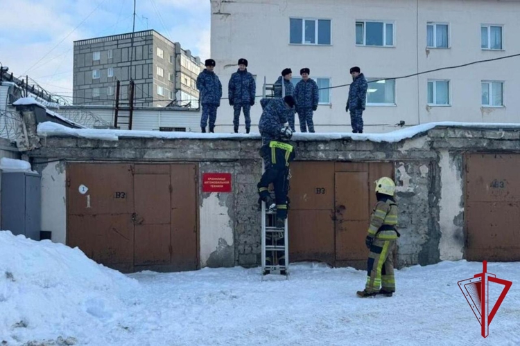 В столице Колымы прошли совместные пожарно‑тактические учения Росгвардии и МЧС