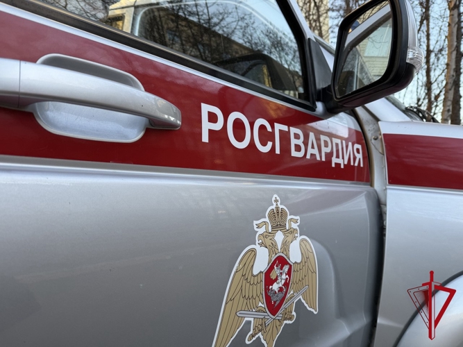 На Колыме Росгвардия подвела итоги надзора за деятельностью частных охранных предприятий 