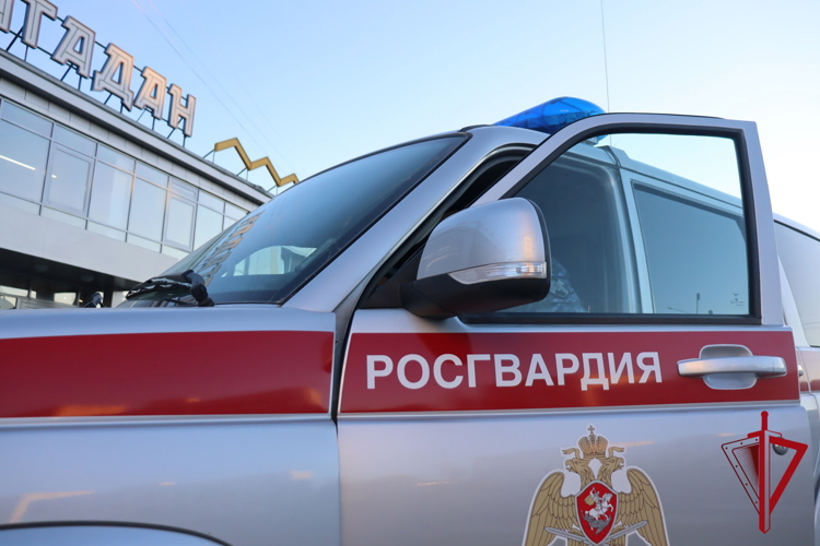 Росгвардейцы задержали подозреваемую в хищении из вино-водочного магазина в Магадане