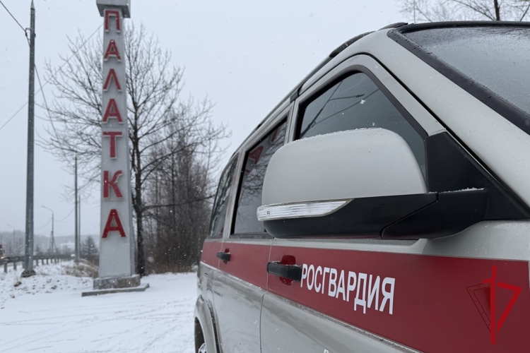 Совместными усилиями полиции и Росгвардии задержан агрессивный житель поселка Палатка