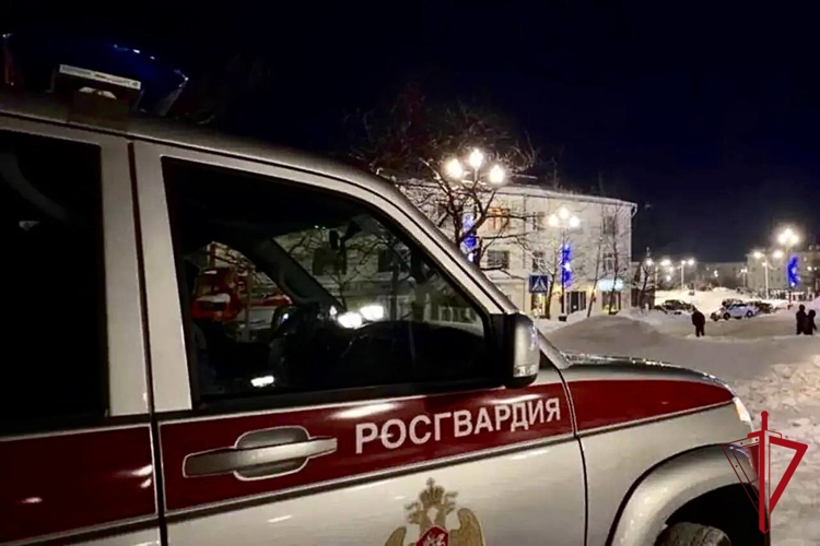 Инцидент в магаданском кафе потребовал вмешательства Росгвардии