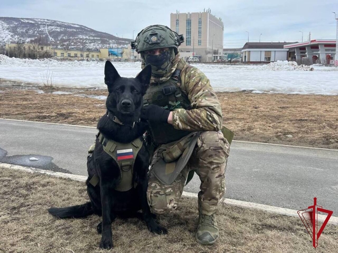 «Служат два товарища»: кинологический дуэт из Магадана участвует в фотоконкурсе