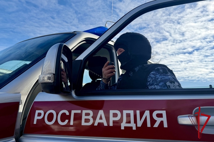 Росгвардией задержан подозреваемый в краже дорогого алкоголя из супермаркета в Магадане