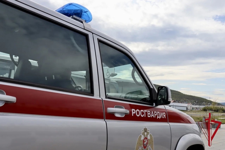 Росгвардией задержан подозреваемый в серии хищений из сетевых магазинов Магадана