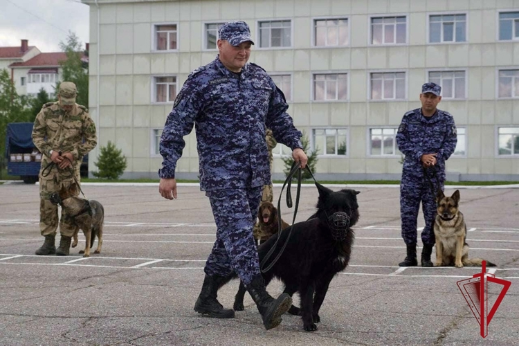 Кинологический тандем из Магадана завоевал бронзу на соревнованиях Восточного округа Росгвардии