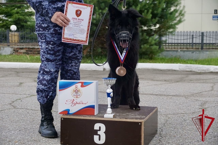 Кинологический тандем из Магадана завоевал бронзу на соревнованиях Восточного округа Росгвардии