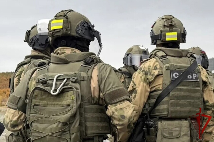 При содействии Росгвардии в Магадане задержаны подозреваемые в незаконном приобретении наркотиков 